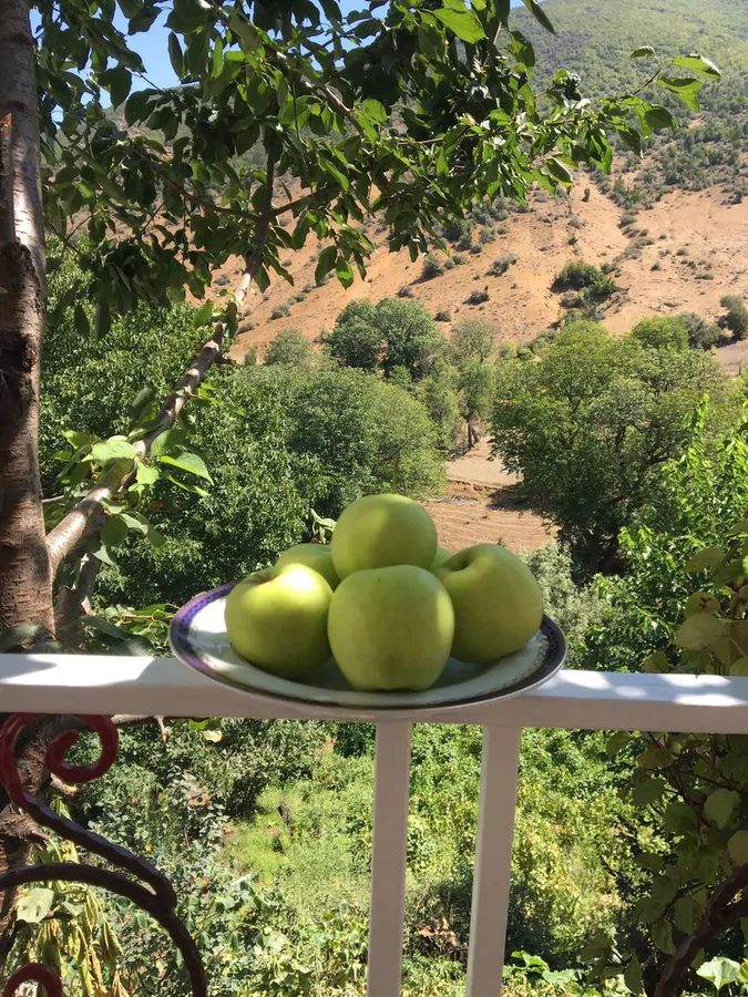 تصویر ۱ - روستایی و عشایری ویوو عالی در  دیلمان