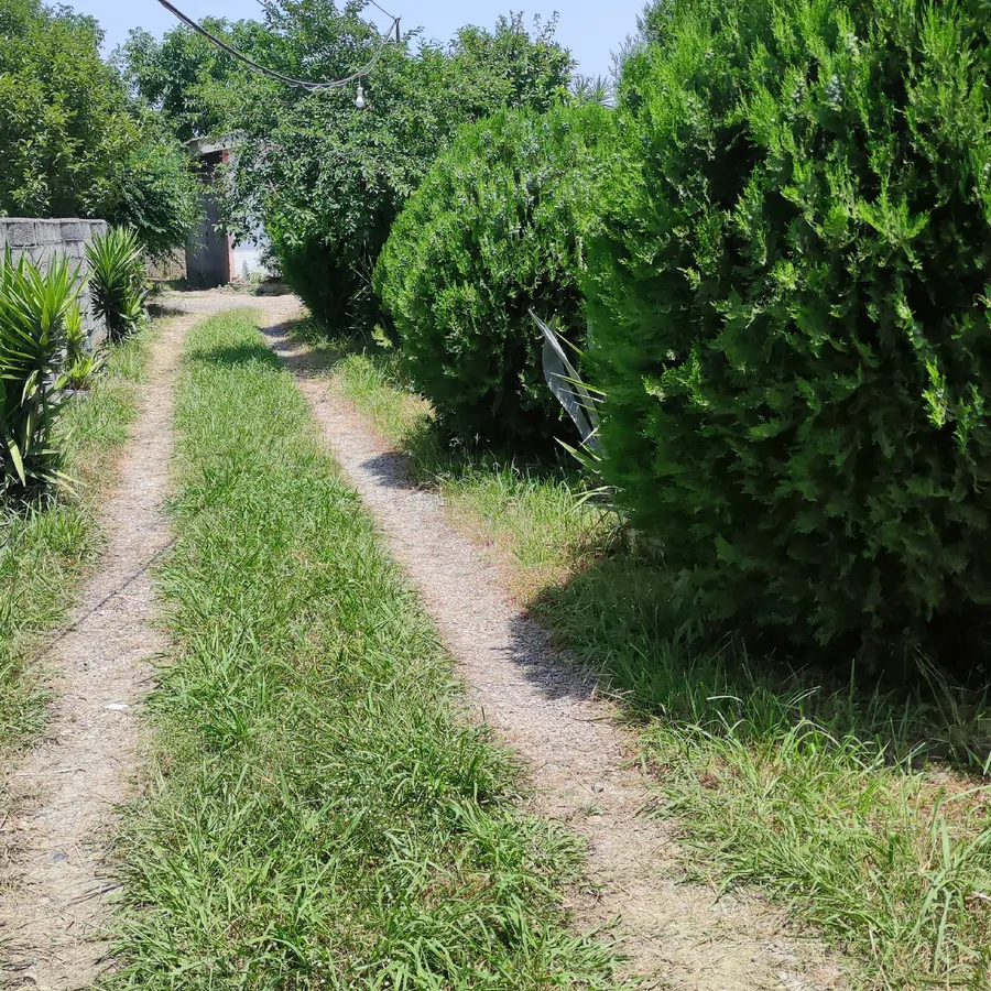 تصویر ۱ - ویلا مایا در  رویان