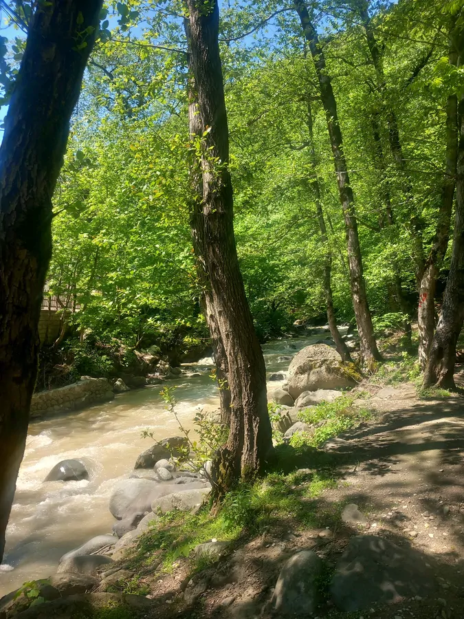 تصویر ۱ - ویلا ویلای تک خوابه لب رودخانه نوید در اسالم