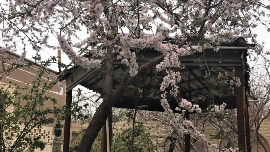 تصویر ۱ - اقامتگاه بوم‌گردی  (بهارخواب) در  مهریز