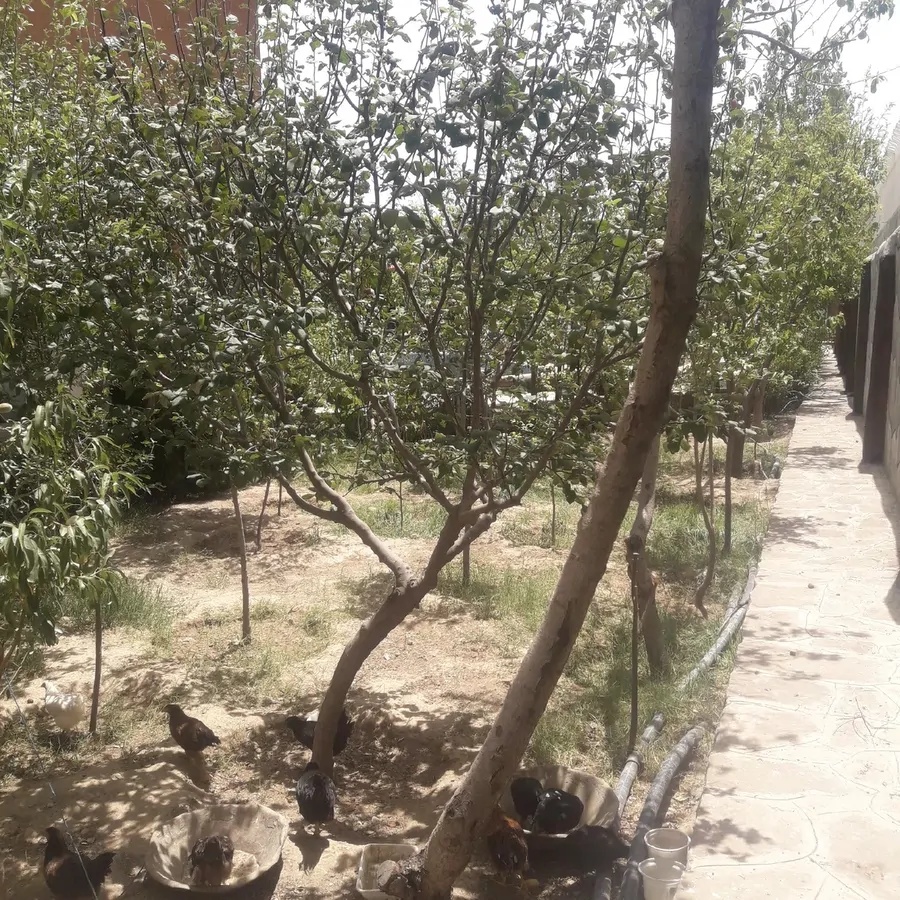 تصویر ۱ - ویلا بنای دوبلکس در  مشهد