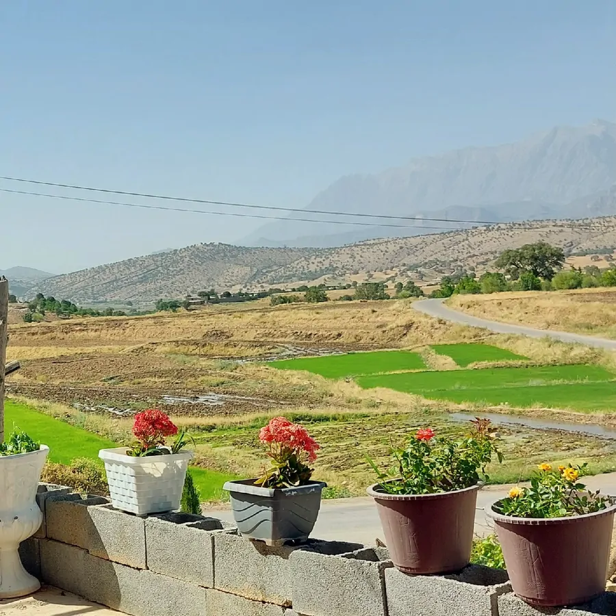 تصویر ۱ - خانه خانه آرام و دلنشین در  یاسوج