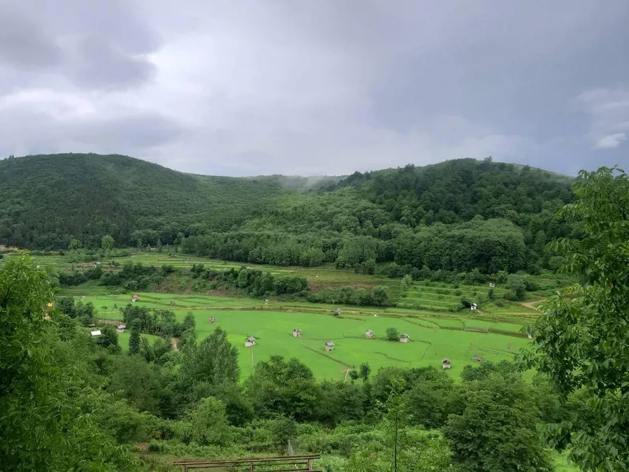 تصویر ۱ - ویلا دوخواب جنگلی با استخر و اسانسور خودمونی در  زیراب