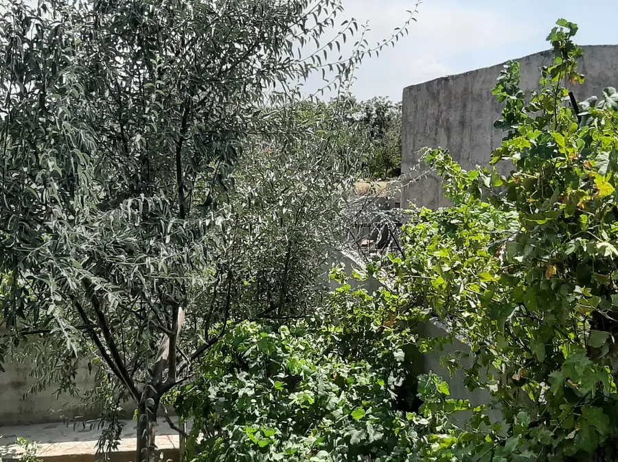 تصویر ۱ - ویلا کلبه آرامش در  اسکو