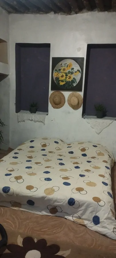 تصویر ۱ - اقامتگاه بوم‌گردی خانه فیروزه ای  در  شیراز