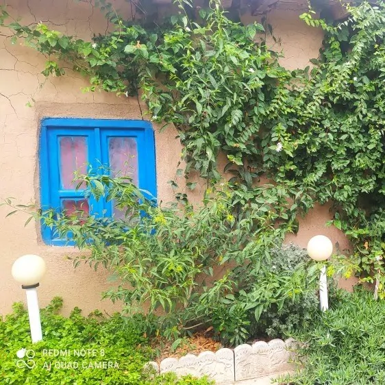 تصویر ۱ - اقامتگاه بوم‌گردی سودای عمو نعمت  در  گالیکش
