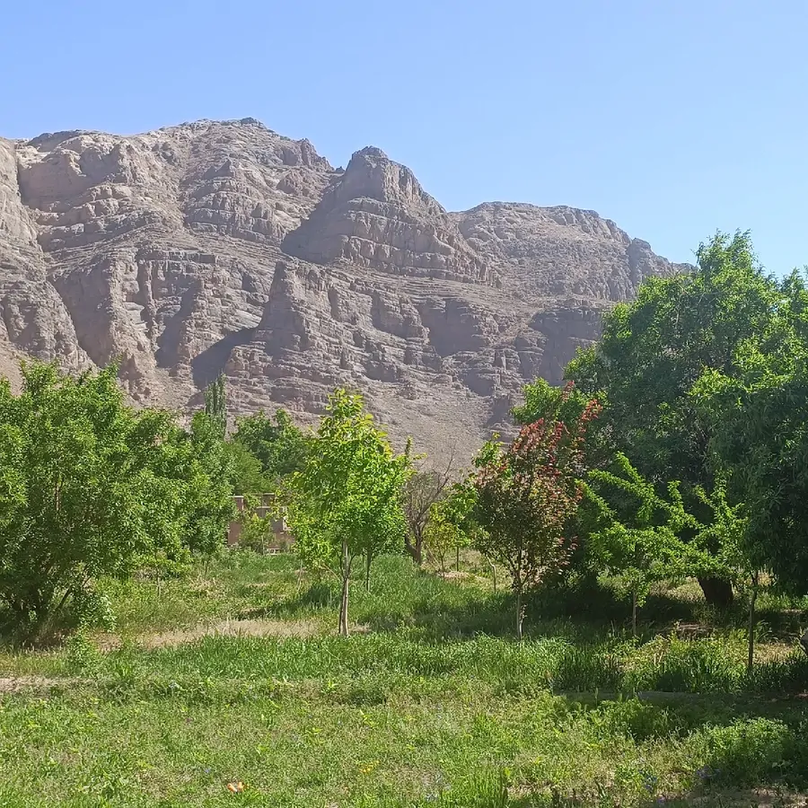 تصویر ۱ - اقامتگاه بوم‌گردی باغملک در  یزد
