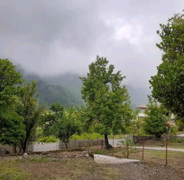 تصویر ۱ - ویلا ویلا لاکچری در ماسال
