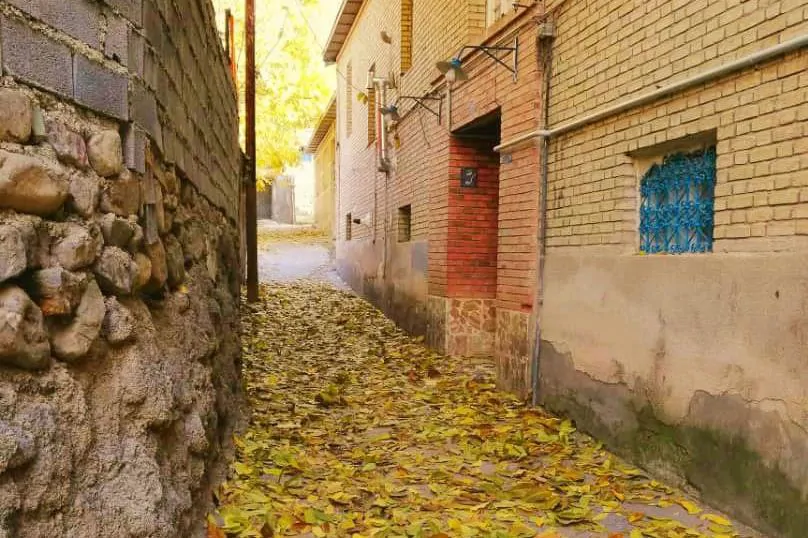 تصویر ۱ - اقامتگاه بوم‌گردی خانه گردو (اتاق ایوان) در  دماوند