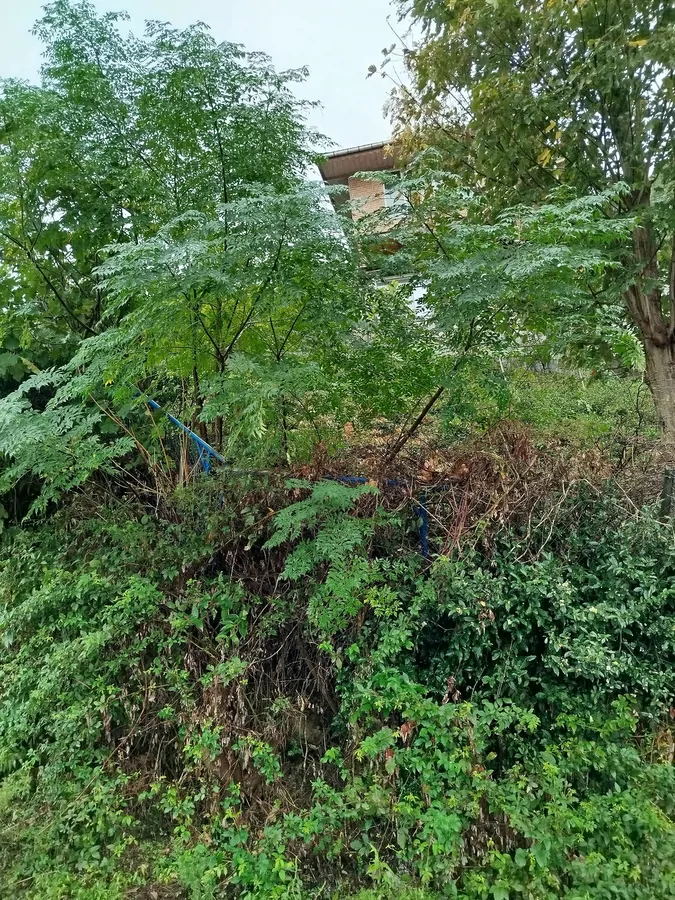تصویر ۱ - ویلا evergreenvila در  لنگرود