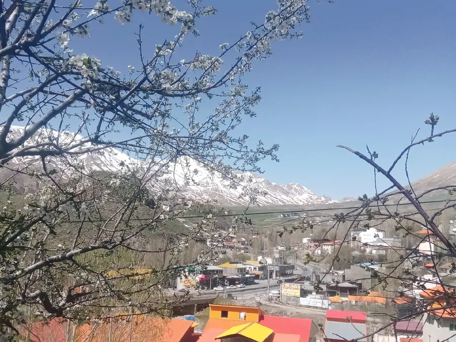 تصویر ۱ - خانه پلور در  پلور