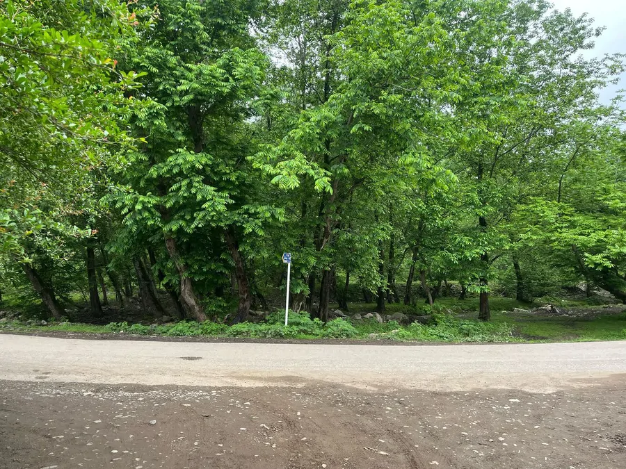 تصویر ۱ - ویلا اقا ناصر در ماسال