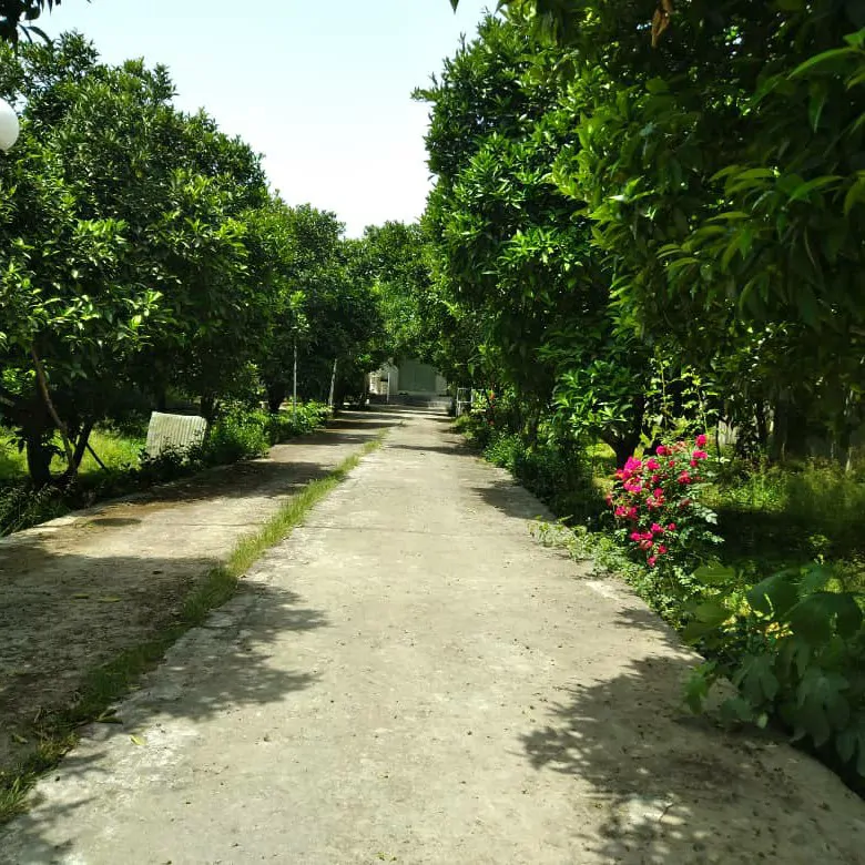 تصویر ۱ - ویلا خانه باغ در  بابل