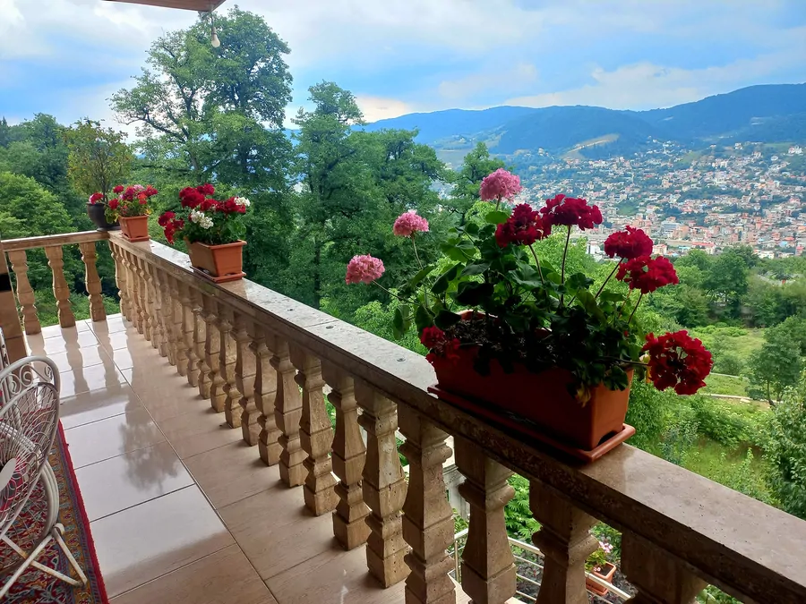 تصویر ۱ - ویلا جنگلی افرا در زیراب