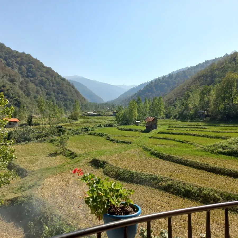 تصویر ۱ - ویلا ویلا لوکس در  شیرگاه