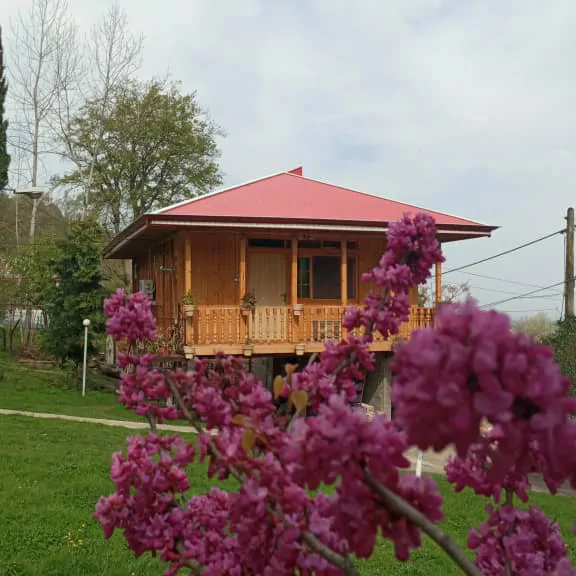 تصویر ۱ - کلبه ویلایی چوبی مبین در  ماسال