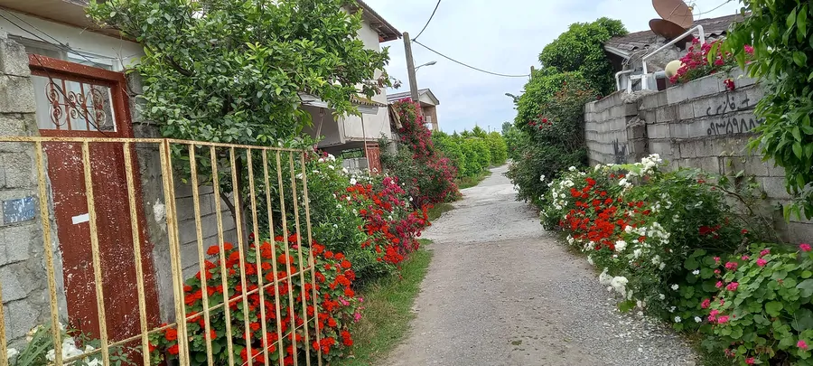 تصویر ۱ - کلبه کلبه دوستان  در  محمودآباد