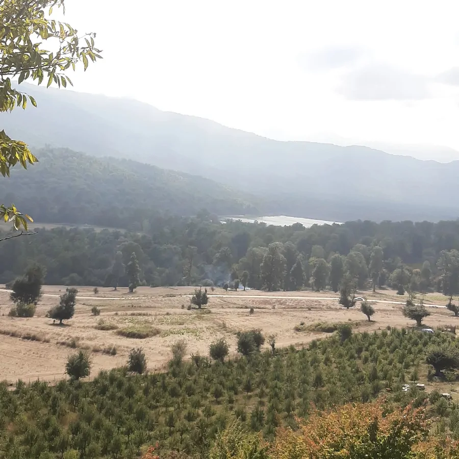 تصویر ۱ - کلبه انجیلی کاج در  ساری