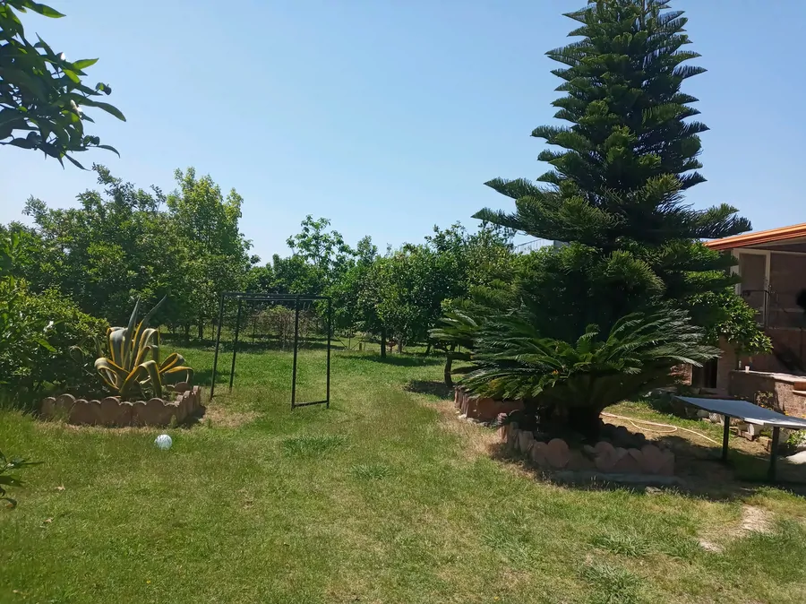 تصویر ۱ - ویلا ویلا باغ مرکبات در محمودآباد