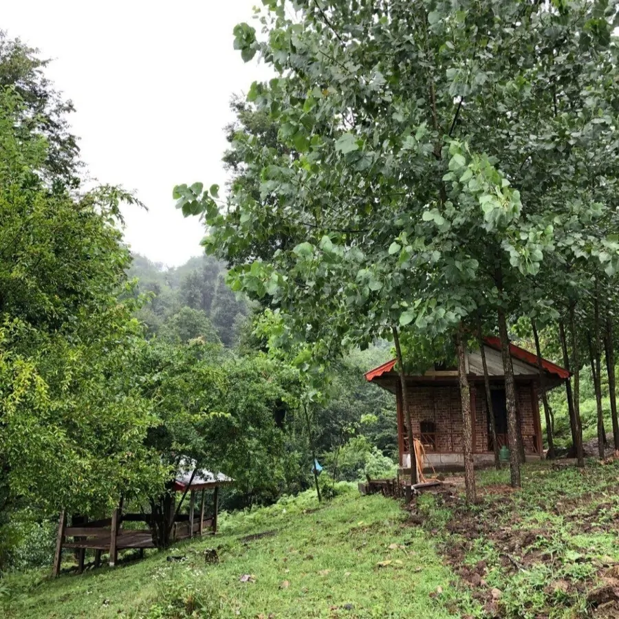 تصویر ۱ - کلبه کلبه جنگلی آرامش در  ماسال