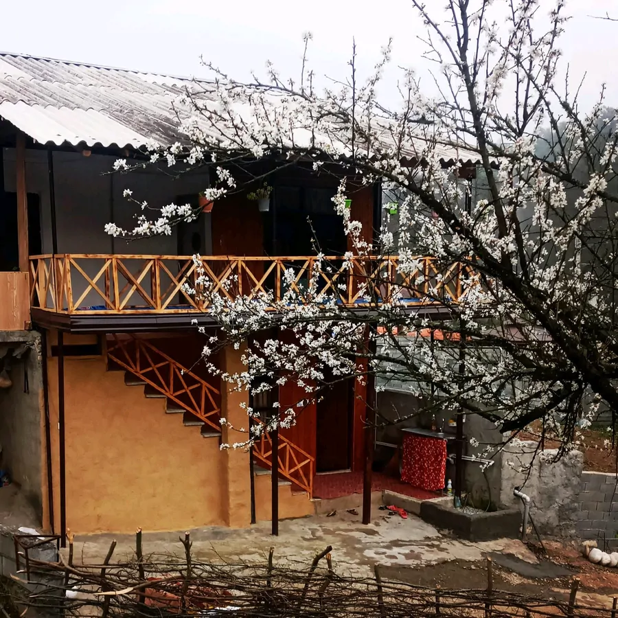 تصویر ۱ - کلبه با منظره رودخانه و جنگل در بابل کنار