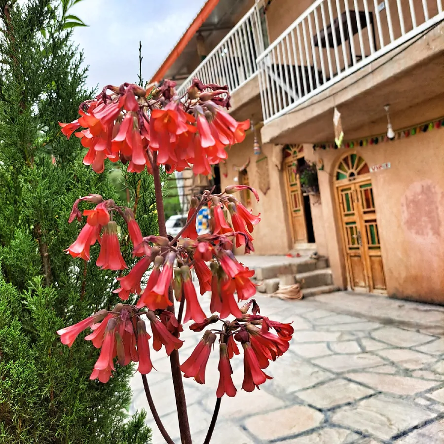 تصویر ۱ - اقامتگاه بومگردی وارگه سلمان در باغملک