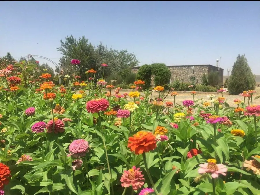 تصویر ۱ - ویلا خانه بهشت نیشابور در  نیشابور