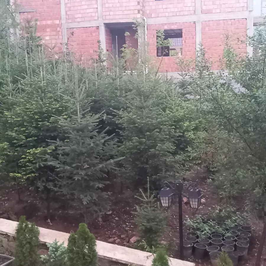تصویر ۱ - خانه ویلای جنگلی کلاردشت در  کلاردشت