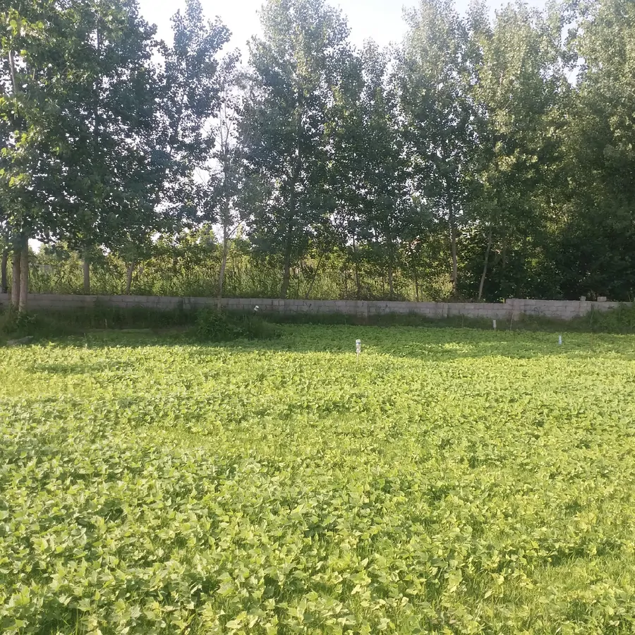 تصویر ۱ - ویلا خانه در  رودسر