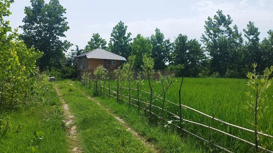 تصویر ۱ - کلبه  افرا در  سیاهکل