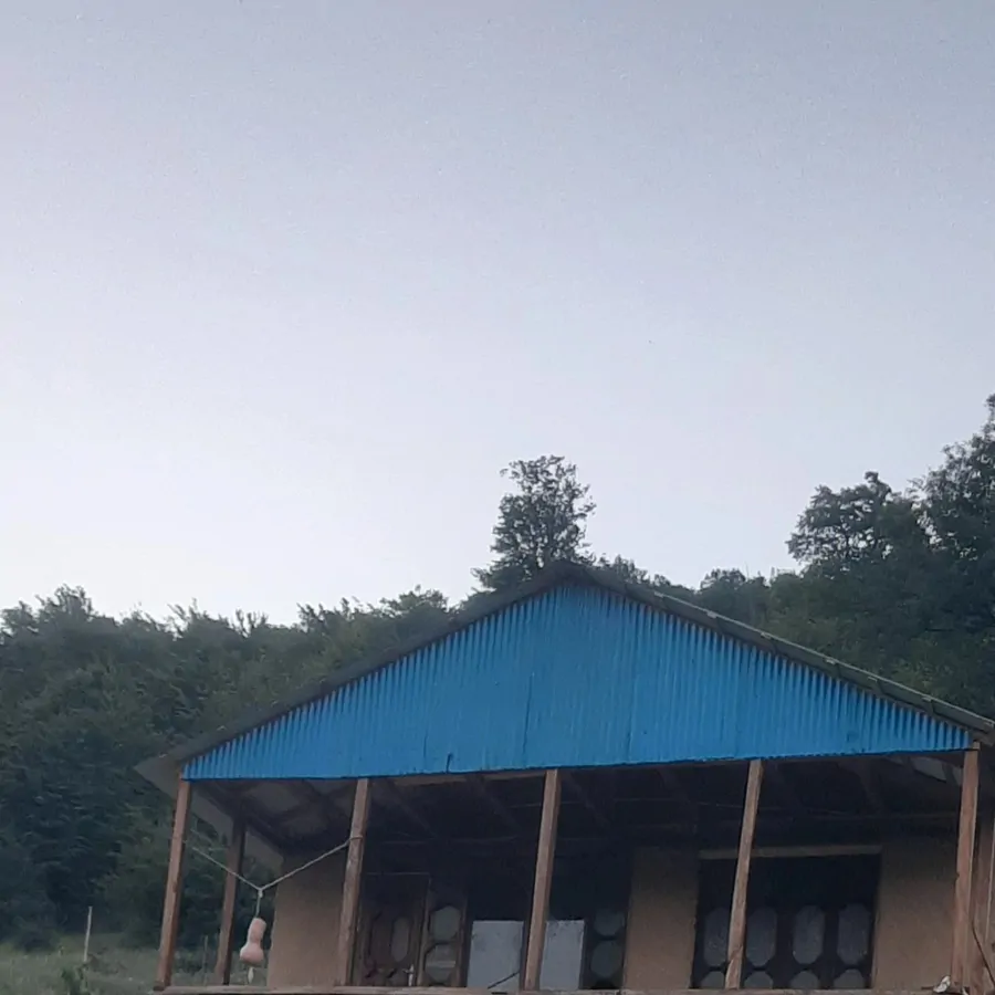 تصویر ۱ - کلبه انجلی کاج در  کیاسر