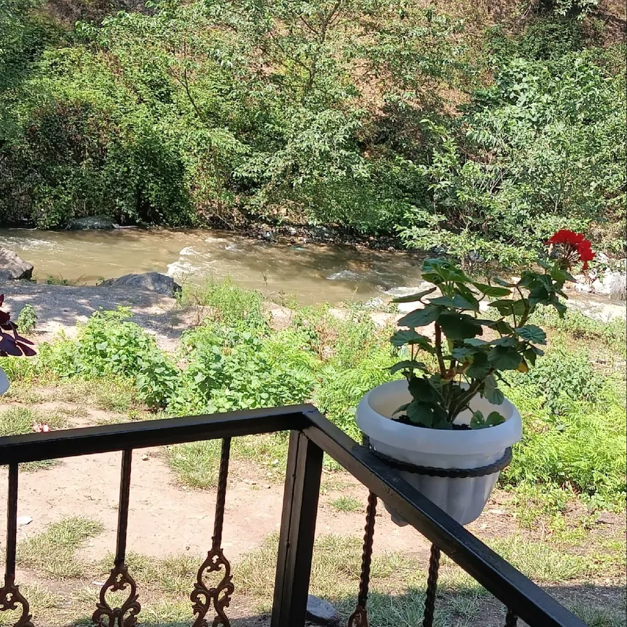 تصویر ۱ - ویلا ویلایی در  ماسوله 
