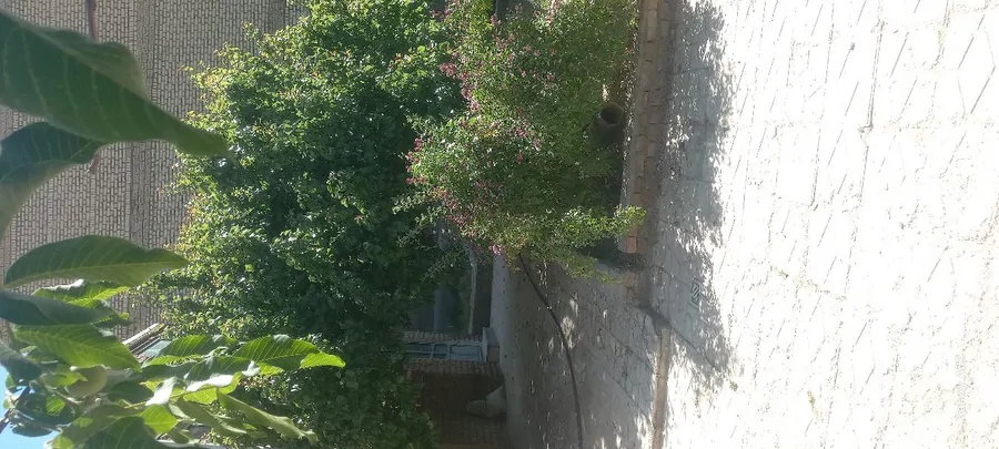 تصویر ۱ - سوییت ویلایی با حیاط ۵۰۰ متری در تکاب