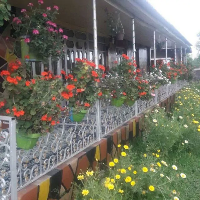 تصویر ۱ - ویلا مبله شیری در  اسالم