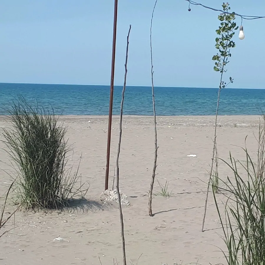 تصویر ۱ - ویلا آریان در  انزلی