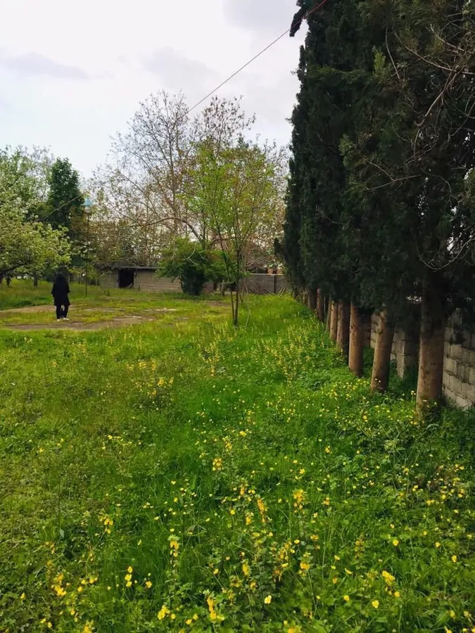 تصویر ۱ - ویلا ویلایی حیاط دار میشین در  ماسال