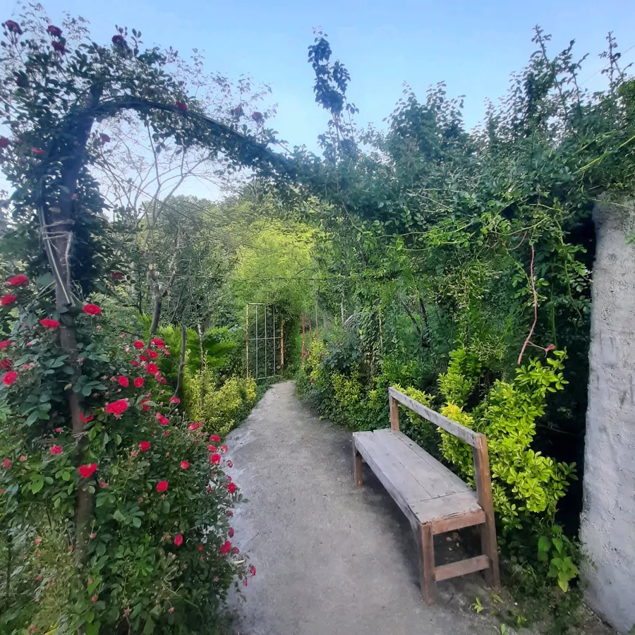 تصویر ۱ - کلبه کلبه جنگلی در بابل کنار