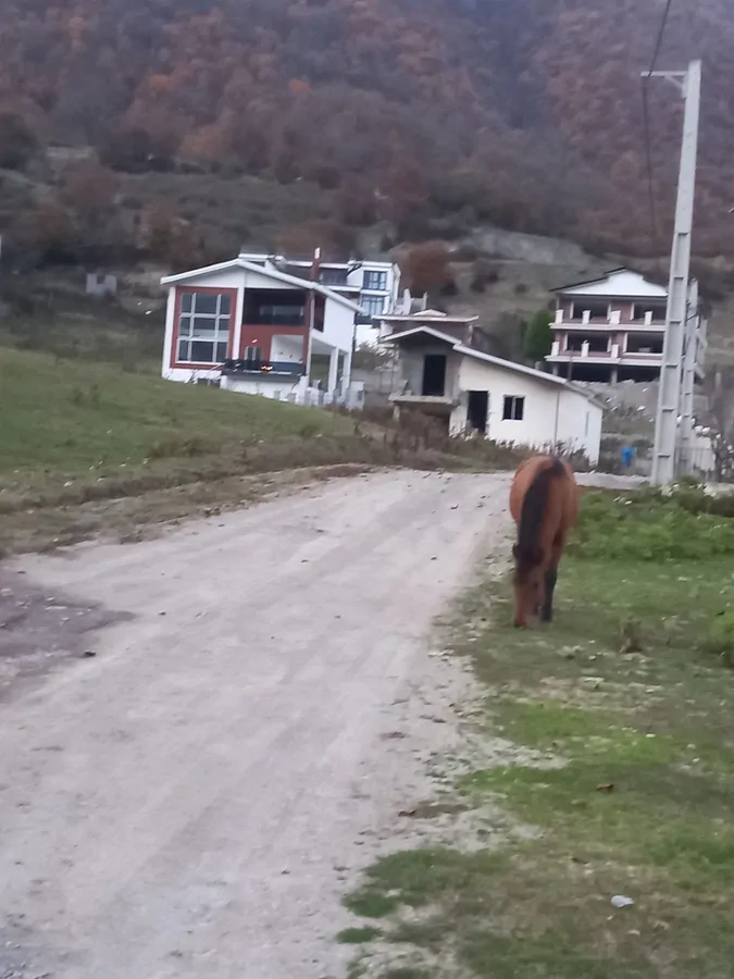 تصویر ۱ - ویلا ویلاجکوزی دار سپنداردر ییلاق لاویج با ویوی کوه وجنگل  جنگل در  چمستان
