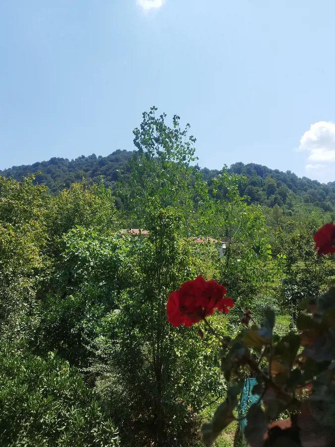 تصویر ۱ - ویلا ویلای جنگلی در  فومن