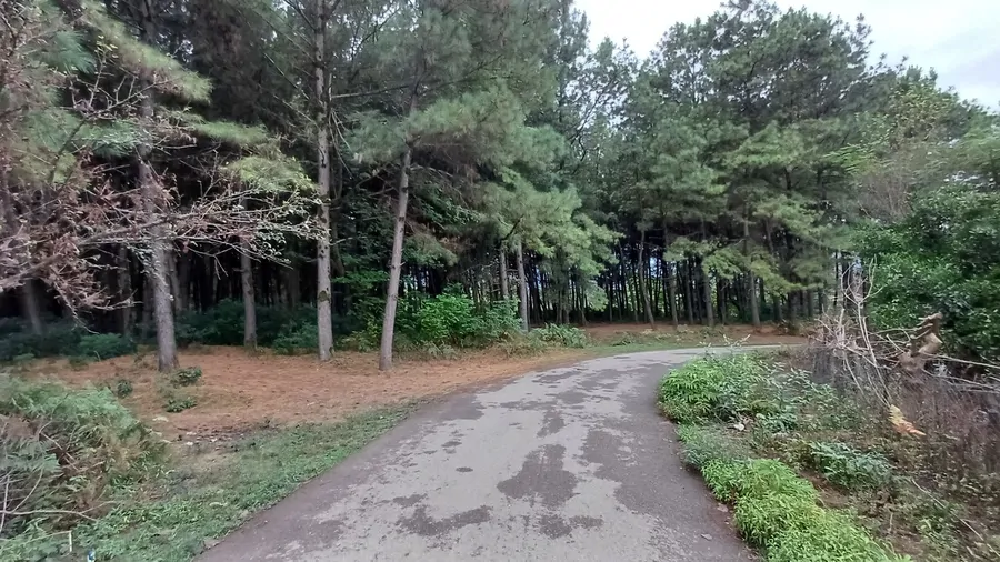 تصویر ۱ - ویلا ویلا در دل طبیعت در  ماسال