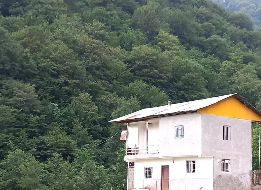 تصویر ۱ - ویلا جنگلی مزرعه پدری در شیرگاه