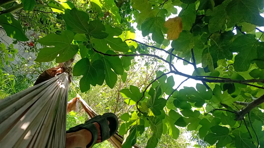 تصویر ۱ - کلبه کلبه دوستان در سرخ رود