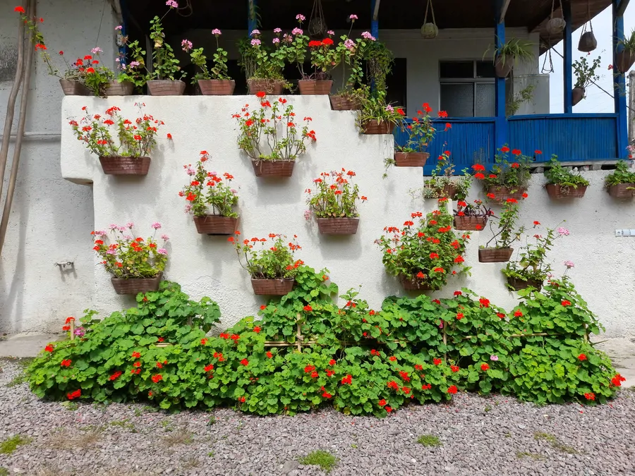 تصویر ۱ - ویلا استخردار آبگرم کوشال در  لاهیجان
