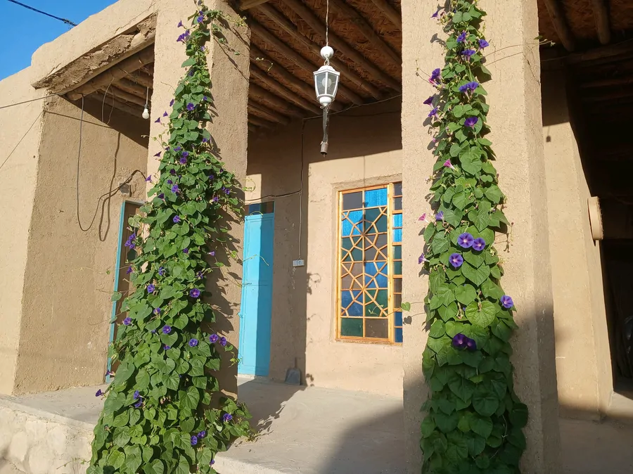 تصویر ۱ - کلبه اقامتگاه وبومگردی بی بی نوری در ارسنجان