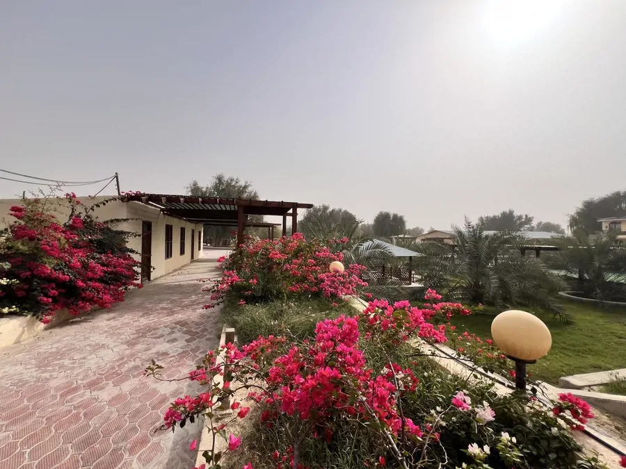 تصویر ۱ - اقامتگاه بومگردی صفا آباد (307) با صبحانه رایگان در قشم