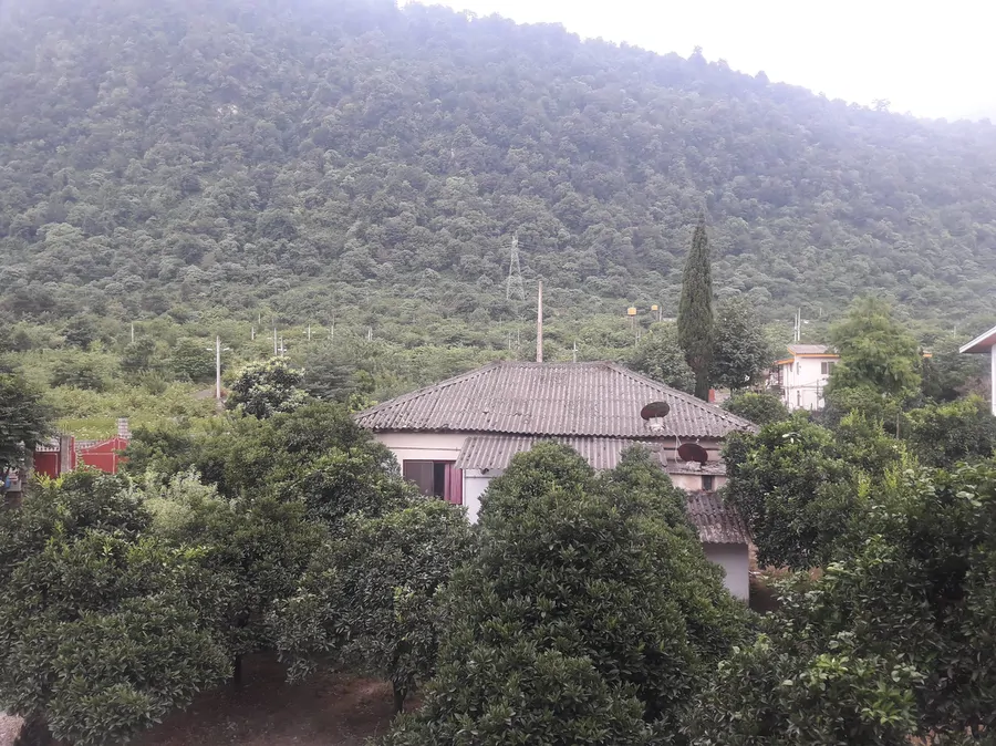 تصویر ۱ - ویلا خونه جنگلی در  نوشهر