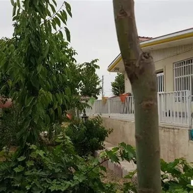 تصویر ۱ - ویلا باغ دنج زعفرانیه در  کرج