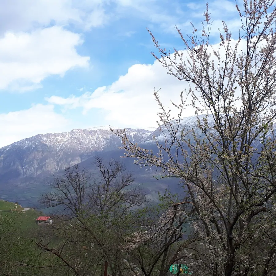 تصویر ۱ - خانه خانه ییلاقی در  رودسر