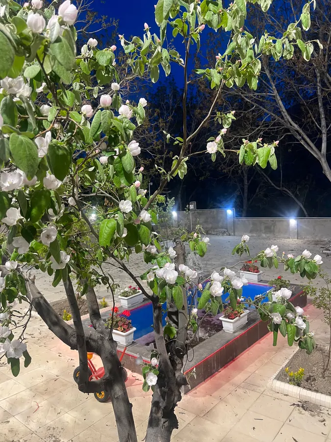 تصویر ۱ - ویلا ویلای چوبی دوبلکس شیک در دامغان
