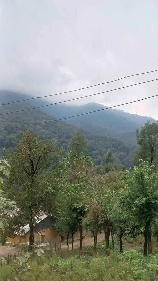 تصویر ۱ - سوییت سوییت شیک جاده ماسوله در  ماسوله 